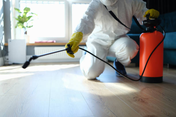 Reliable Infectious Disease Decontamination contractor in Santa Margarita, CA by Trauma Clean Pros